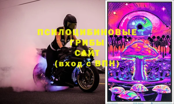 ПСИЛОЦИБИНОВЫЕ ГРИБЫ Белоозёрский