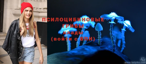 каннабис Белокуриха