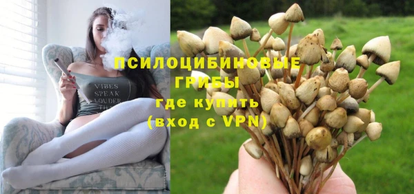 каннабис Белокуриха