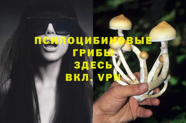 каннабис Белокуриха