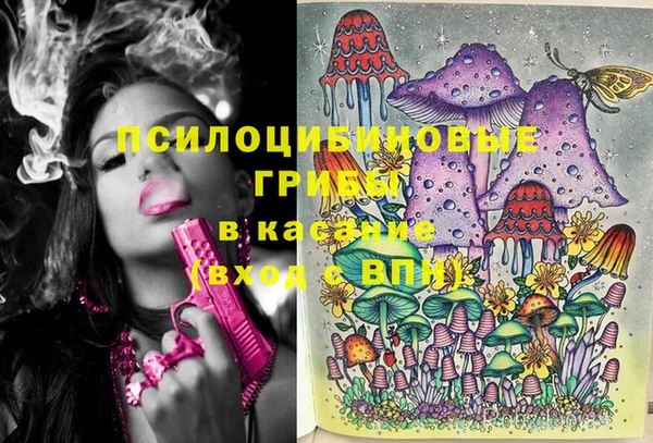 мдпв Беломорск