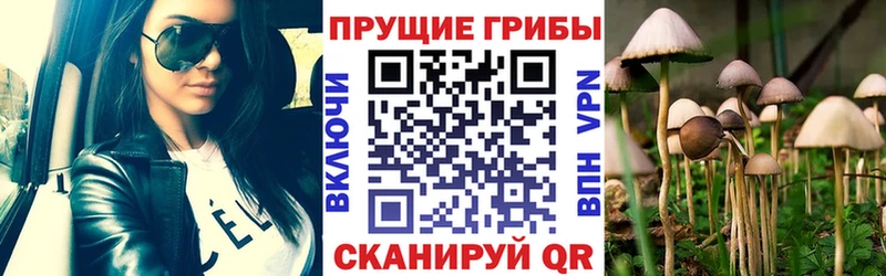 где продают   Горячеводский  гидра маркетплейс  Галлюциногенные грибы Cubensis 